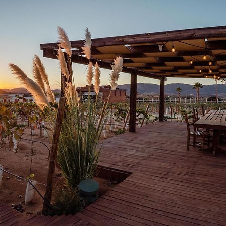 Entrevalle Hotel Boutique Valle de Guadalupe Dış mekan fotoğraf
