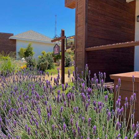 Entrevalle Hotel Boutique Valle de Guadalupe Dış mekan fotoğraf