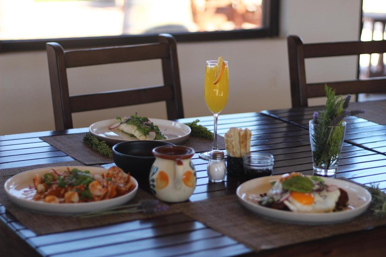 Entrevalle Hotel Boutique Valle de Guadalupe Dış mekan fotoğraf