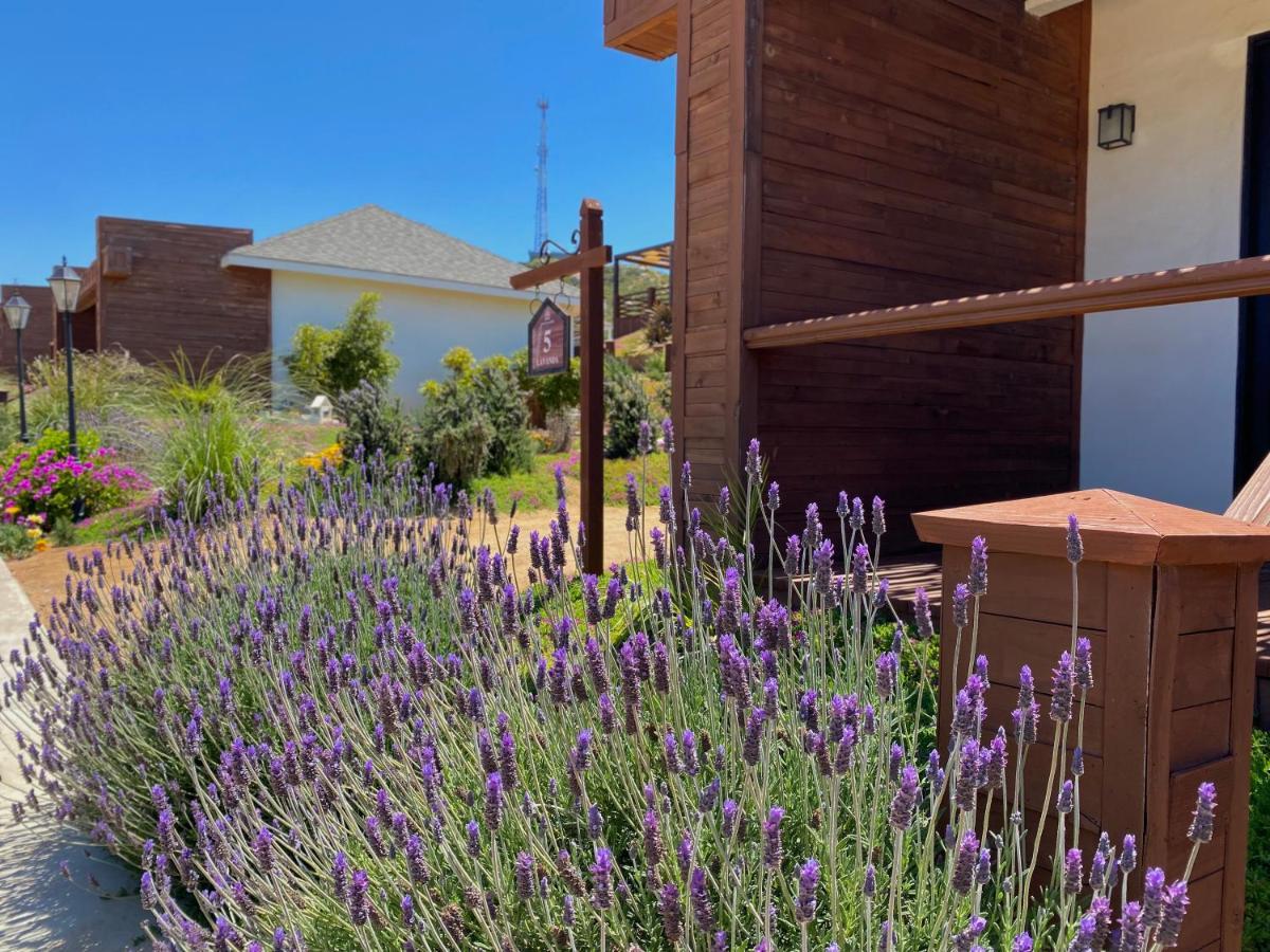 Entrevalle Hotel Boutique Valle de Guadalupe Dış mekan fotoğraf