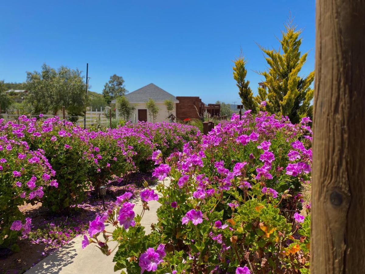 Entrevalle Hotel Boutique Valle de Guadalupe Dış mekan fotoğraf