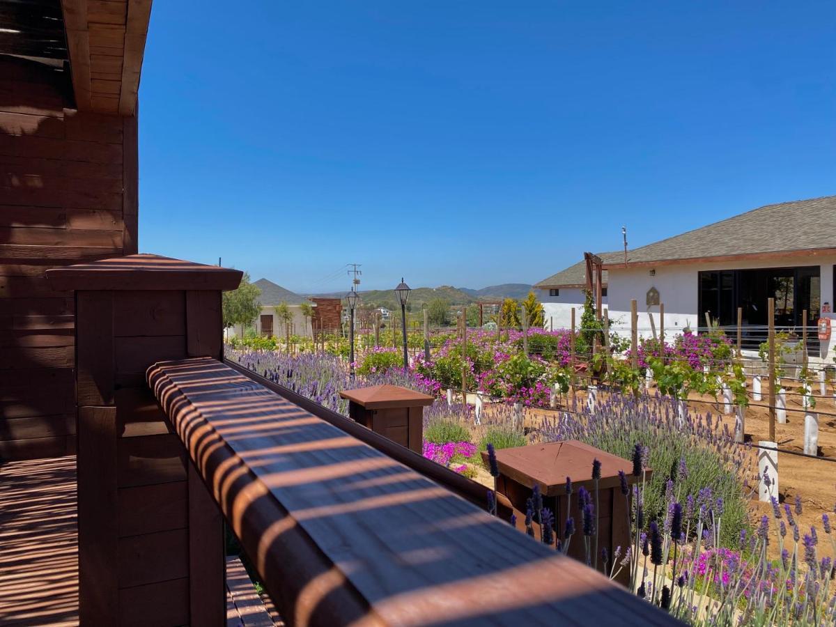 Entrevalle Hotel Boutique Valle de Guadalupe Dış mekan fotoğraf
