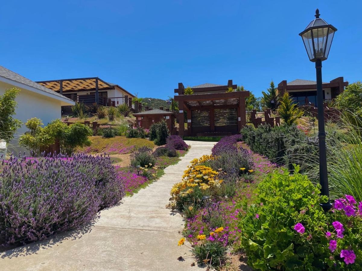 Entrevalle Hotel Boutique Valle de Guadalupe Dış mekan fotoğraf