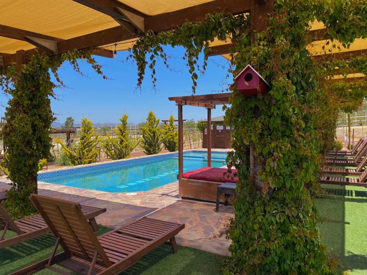 Entrevalle Hotel Boutique Valle de Guadalupe Dış mekan fotoğraf